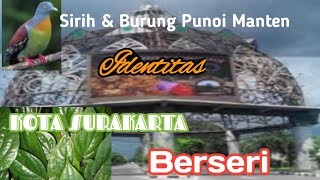 Identitas Flora Fauna KOTA SOLO/SURAKARTA Berseri #Sirih & Burung Punai Manten/Penganten#