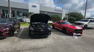 Rise N Shine, Parks Ford, Wesley Chapel, organized by Bay Area Mustangs.