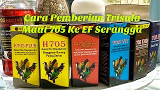 Trident of Death 705 Settings for Crickets, Caterpillars, Kroto, Earthworms