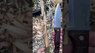 S#0236 ⚡ Condor Bushlore Feather Stick Making Fuzz Stick Featherstick Curles Feathersticking Test