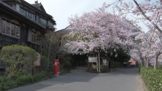 八鶴亭 - 東商連30秒CM2016