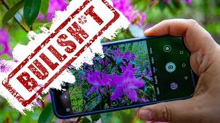 Plant Identification Apps (Pl@ntnet, Plantsnap, etc.) | Bushcraft Bullsh*t (Ep 2):