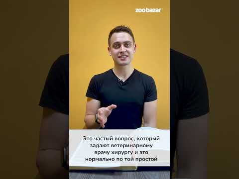 Самые частые и неловкие вопросы, которые встречались в практике ветеринарного врача