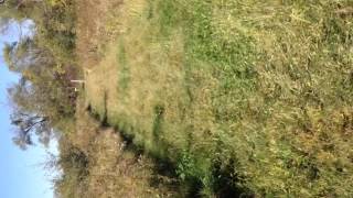 100 yard PSE Elite crossbow shot with HHA Speed Dial