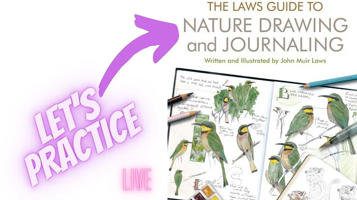 Let's Practice from The Laws Guide to Nature Drawi...