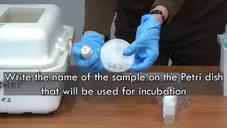 E. Coli Bacteria Testing