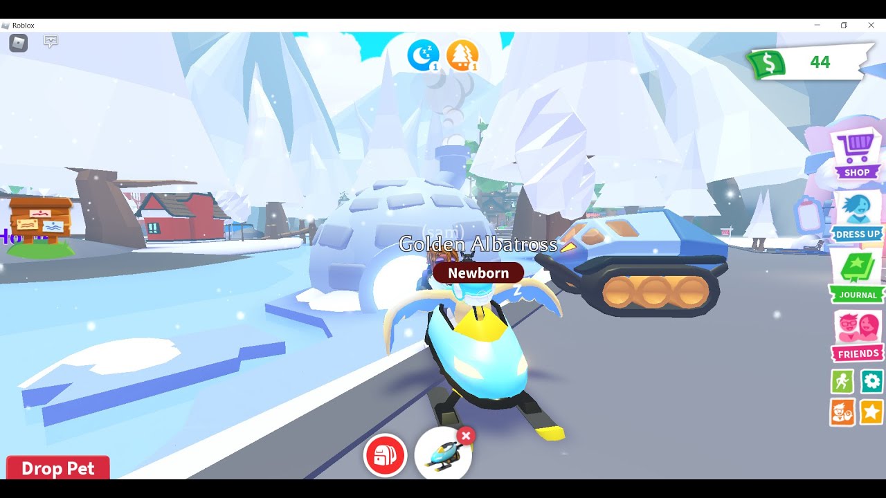 getting all the items and pets in the new Igloo shop in adopt me( i got a golden albatross)