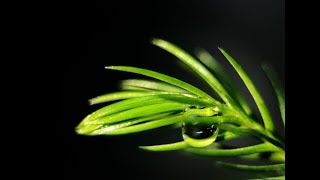 Guitar Music background with my photos (No Copyright Creative Common) screenshot 4