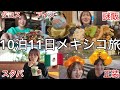 人生初のメキシコ旅行で食べ放題旅行してきたけど知らない食べ物多すぎてご飯モンスターの血が騒いだ