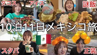 人生初のメキシコ旅行で食べ放題旅行してきたけど知らない食べ物多すぎてご飯モンスターの血が騒いだ