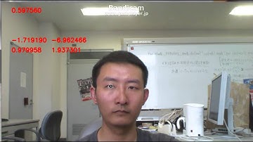 gaze estimation experiment video