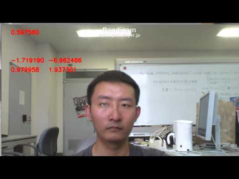 gaze estimation experiment video