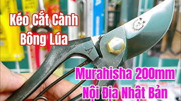 [ Tập A599 ] Kéo cắt cành Bông Lúa Murahisha 200mm nội địa Nhật