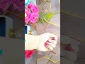 Transition Alert 😁 #shorts #trending #video #viral #ytshorts #reels #latest #unique