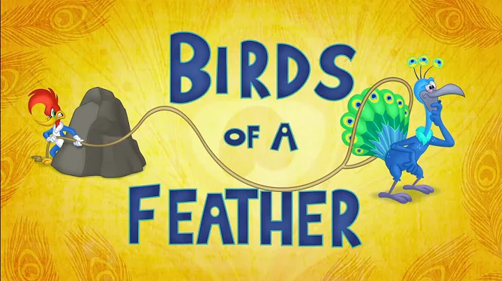 Woody Woodpecker | Birds of a Feather | Full Episodes - 天天要闻