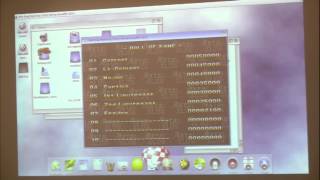 Epsilon talks about Amiga OS 4.1 with UAE - Amiwest 2014