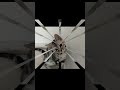 仔猫の甘噛み結構イタイですよね(^^;