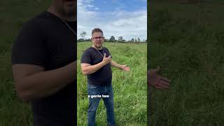 O Capim Da Sua Fazenda Sofre Com Ervas Daninhas? Ária
