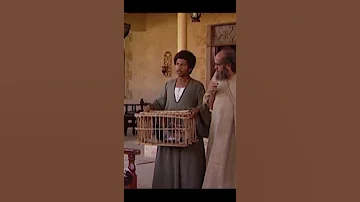 شيخ العرب همام مسك جاسوس في هوارة شوف اللي حصله 