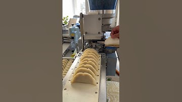 Production video of semi automatic dumpling making production machine