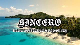 Rauw Alejandro &amp; Bad Bunny - SINCERO (Visualizer)