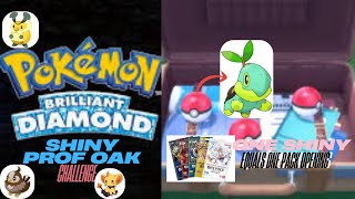 Shiny hunting Turtwig (Portrait)