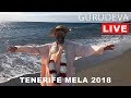 Gurudeva live trailer 31