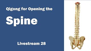 Qigong to Open the Spine ☯ - Livestream 28
