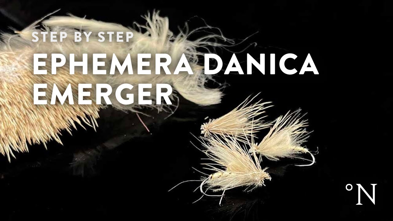 Fly Tying instruction on how to tie the Ephemera Danica Emerger