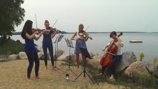 Survivor - string quartet cover (Thalia Strings)