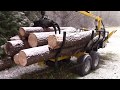 Salvage logging a hemlock tree with the Anderson forestry trailer