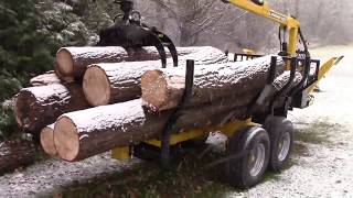 Salvage logging a hemlock tree with the Anderson forestry trailer and Log Loader