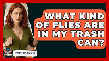 What Kind Of Flies Are In My Trash Can? - Insects and Invaders