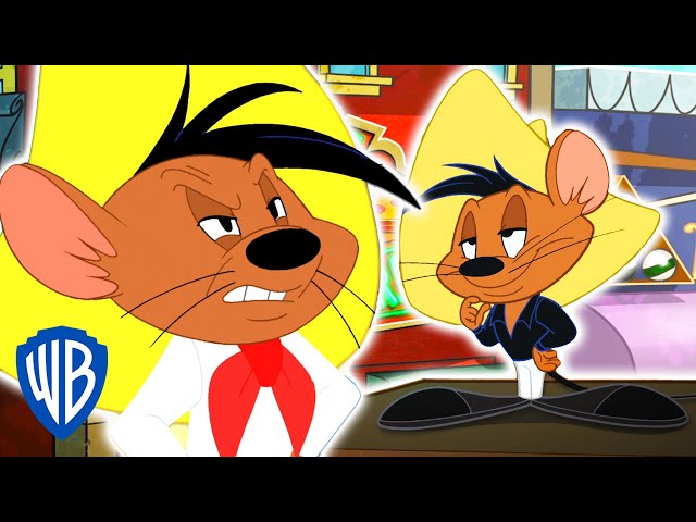 Speedy Gonzales is a mouse fictional character from Looney Tunes