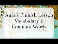 Aura's Finnish Lesson Vocabulary 1: Common Words