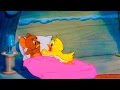 Tom And Jerry Episode 47 Little Quacker 1950