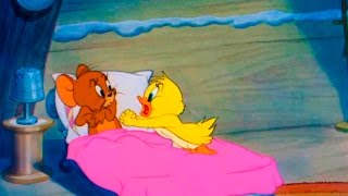 Cartoon fragment tom and jerry - little quacker is a 1950 american
one-reel animated the 47th short directed by william hanna an...