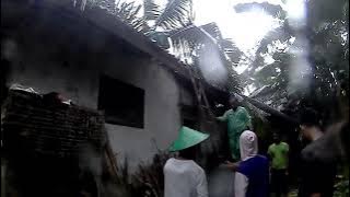Akibat angin peting bliung 1 rumah tertimpah pohon kelap #anginpetingbliung tnggl 3-11-2025