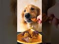 Funny photo shoot One-click with same style Affects is fun Video  please do not imitate at home