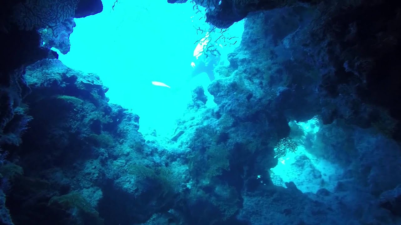 Tauchen Hurghada Juni 2015 - Blue Water Dive Resort