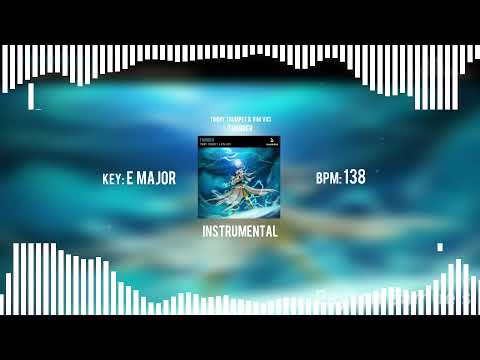 Timmy Trumpet Vs Vini Vici – Thunder (Instrumental)