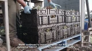 Improving your experience with Reusable Plastic Containers (RPCs) in Australia
