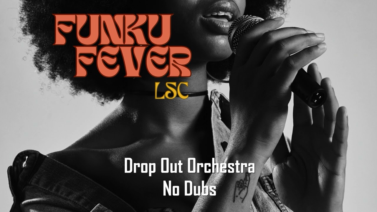 Drop Out Orchestra - No Dubs