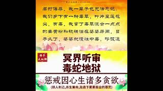 恩师卢军宏台长精彩开示 佛子天地游