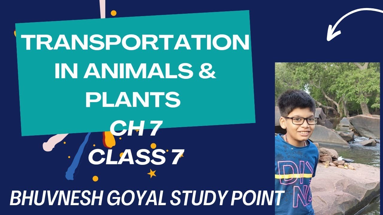 Class 7 Science Chapter 7 | Transportation in Animals and Plants by ...