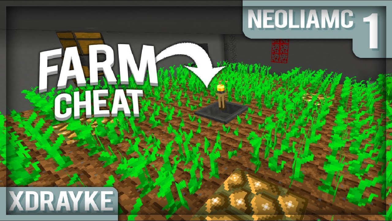La farm la plus rentable du serveur ? | NeoliaMc #1