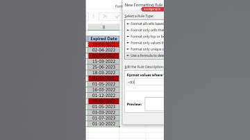How to Set Expiry Alert in Excel #shorts