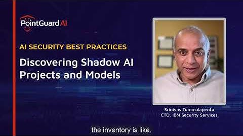 Expert Perspectives Discovering and Governing Shadow AI