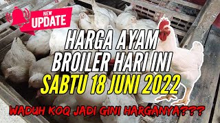 Harga Pakan Ayam Broiler Hari Ini Kamis 25 November 2021. 