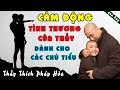 Cảm động tình thương Thầy Pháp Hòa dành cho các chú tiểu như TÌNH CHA CON (bài giảng hay)